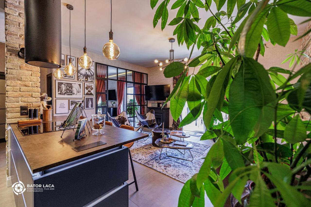 Buekk Penthouse, Panorama Jacuzzival Διαμέρισμα Μίσκολτς Εξωτερικό φωτογραφία